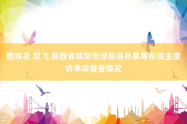 姐妹花 双飞 陕西省咸阳市泾阳县孙某等东谈主信访事项督查情况