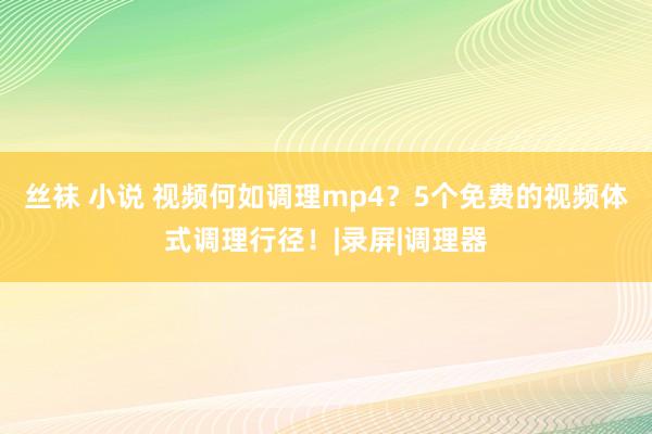 丝袜 小说 视频何如调理mp4？5个免费的视频体式调理行径！|录屏|调理器