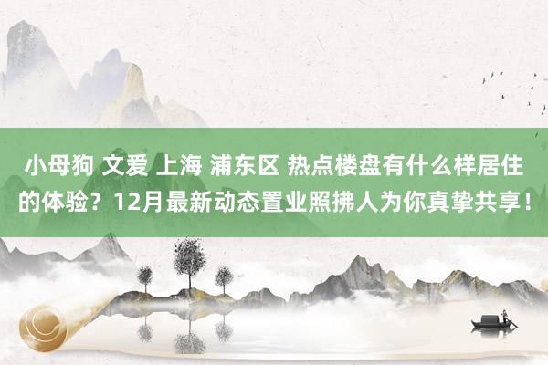 小母狗 文爱 上海 浦东区 热点楼盘有什么样居住的体验？12月最新动态置业照拂人