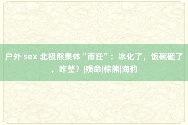 户外 sex 北极熊集体“南迁”：冰化了，饭碗砸了，咋整？|殒命|棕熊|海豹