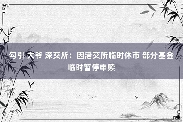 勾引 大爷 深交所：因港交所临时休市 部分基金临时暂停申赎