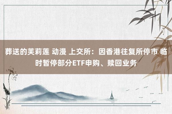 葬送的芙莉莲 动漫 上交所：因香港往复所停市 临时暂停部分ETF申购、赎回业务
