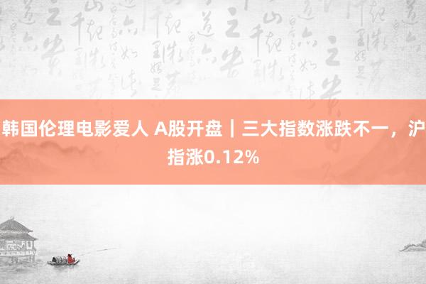 韩国伦理电影爱人 A股开盘｜三大指数涨跌不一，沪指涨0.12%