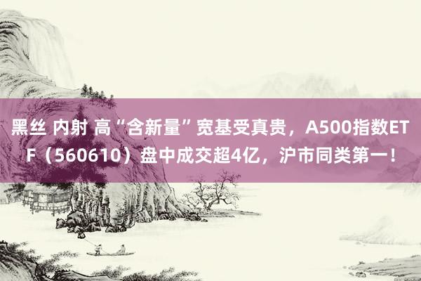 黑丝 内射 高“含新量”宽基受真贵，A500指数ETF（560610）盘中成交超