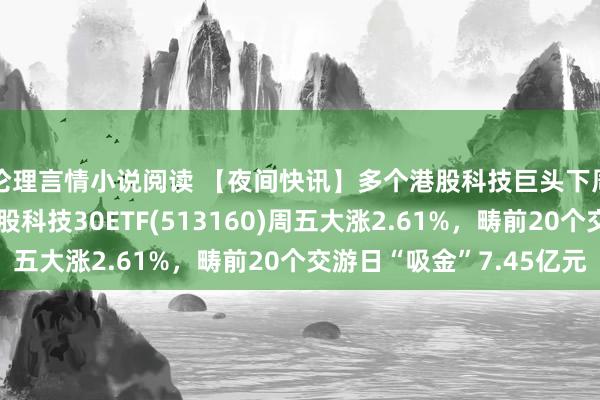 伦理言情小说阅读 【夜间快讯】多个港股科技巨头下周周初发布财报！港股科技30ET
