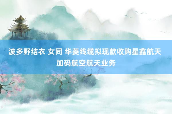 波多野结衣 女同 华菱线缆拟现款收购星鑫航天 加码航空航天业务