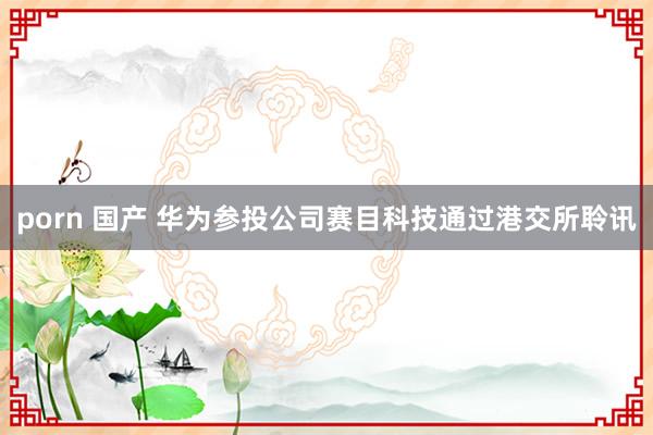 porn 国产 华为参投公司赛目科技通过港交所聆讯